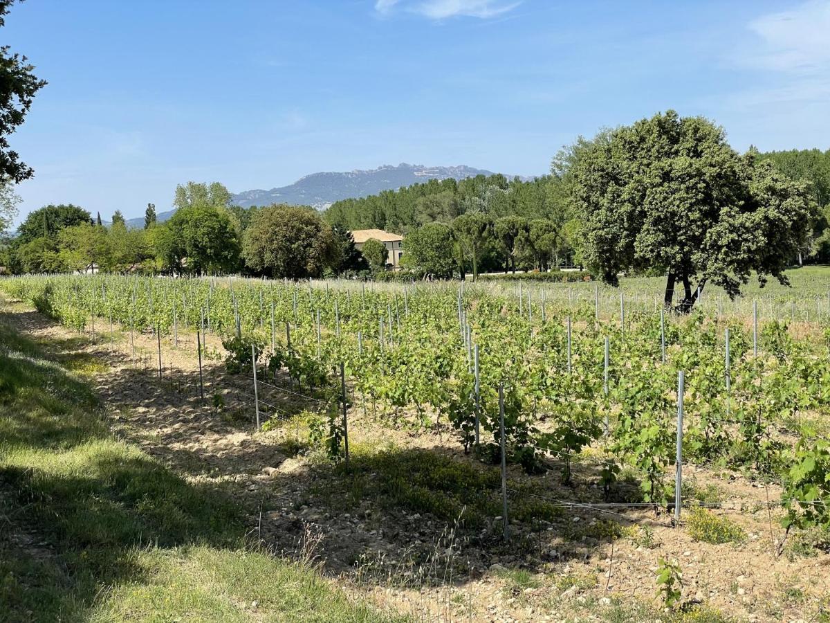 Chateau Talaud Loriol-du-Comtat Kültér fotó