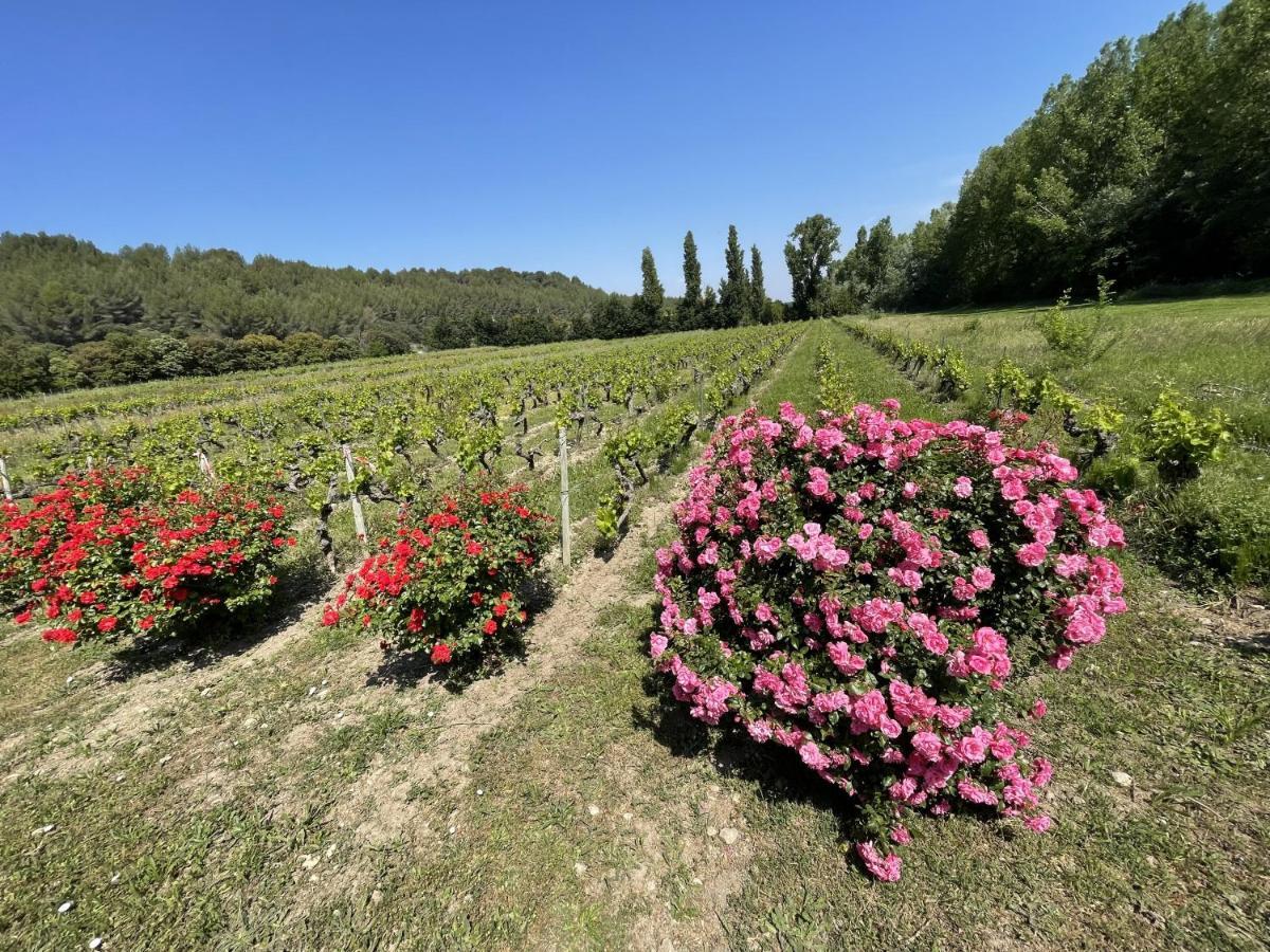 Chateau Talaud Loriol-du-Comtat Kültér fotó