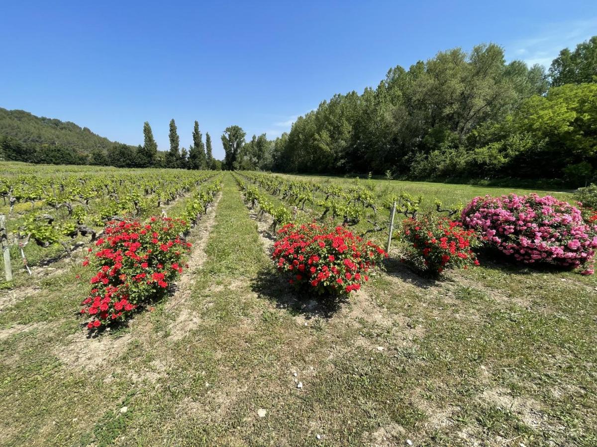 Chateau Talaud Loriol-du-Comtat Kültér fotó